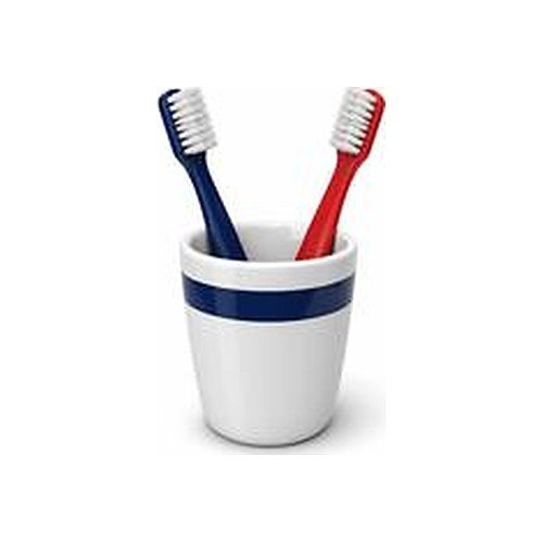 Illustration of two toothbrushes, one navy and one red, in a cup