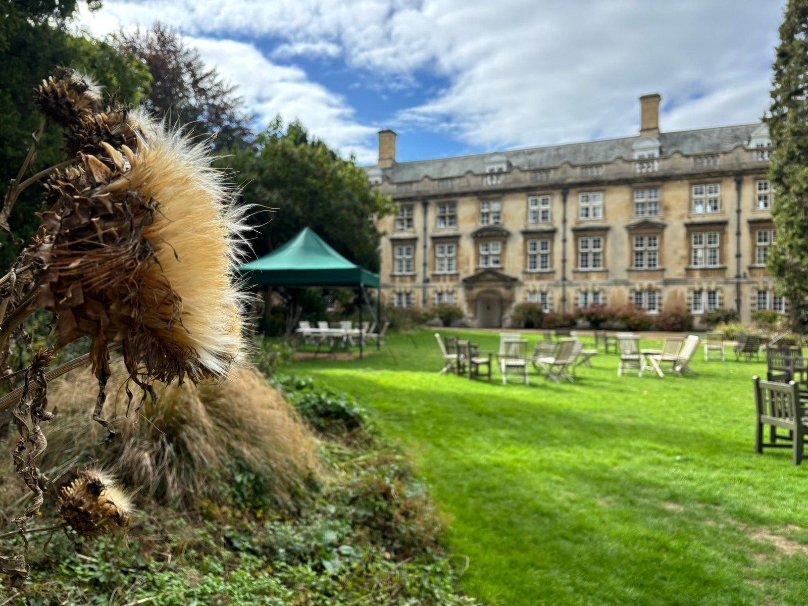 Fellows Garden at Christ's College - whats on in cambridge this november